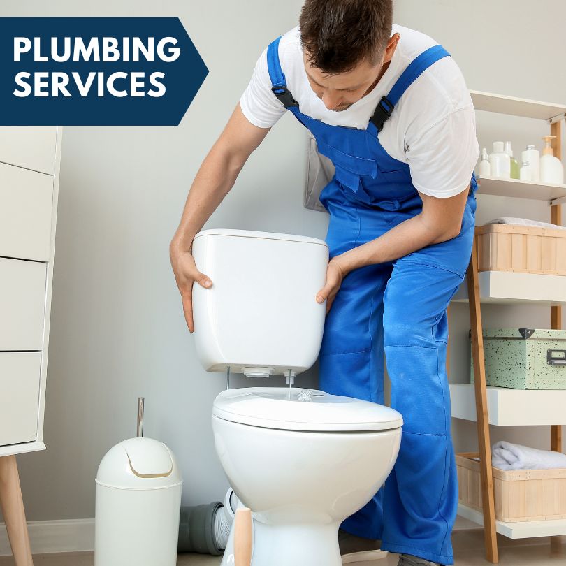 Plumbing Company in Welaka, FL